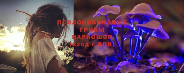 ПСИЛОЦИБИНОВЫЕ ГРИБЫ Балахна