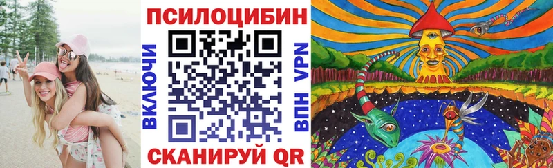 Псилоцибиновые грибы GOLDEN TEACHER  где купить наркоту  Олёкминск 