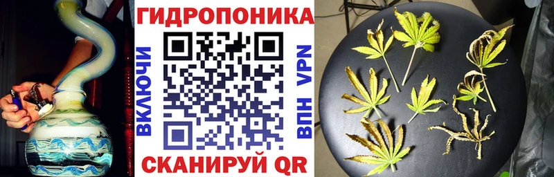 где купить наркотик  Олёкминск  Канабис AK-47 